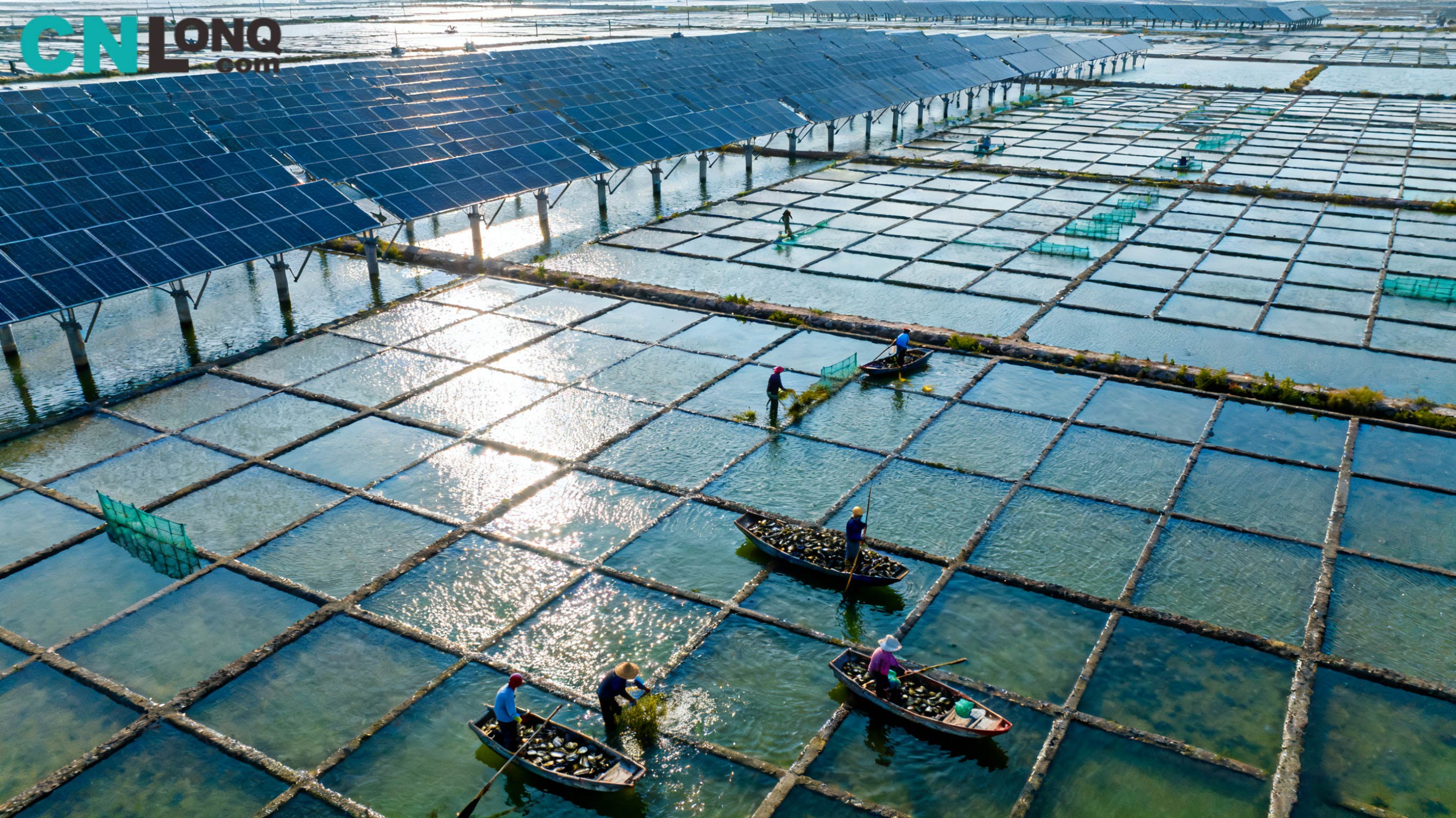 RMB 1.2 বিলিয়ন মোট বিনিয়োগ! Xindao Qingkou সল্ট ফিল্ড 250MW 